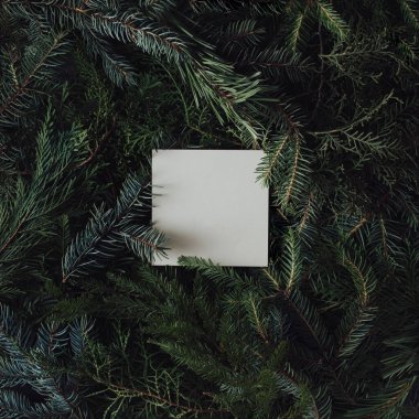 Kağıt kartlı ağaç dallarından yapılmış yaratıcı bir düzen. Düz yatıyordu. Doğa Yeni Yıl ve Noel konsepti.