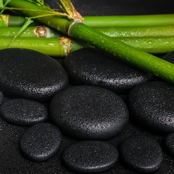 spa concept of zen basalt stones and natural bamboo with drops,