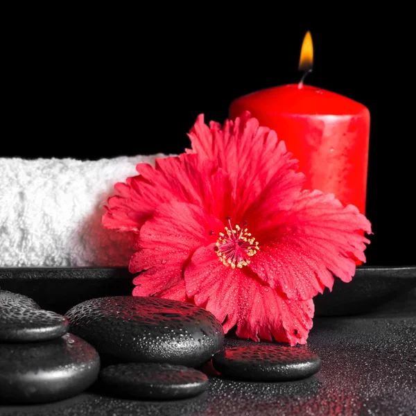 beautiful spa concept of hibiscus flower with dew, red candles a