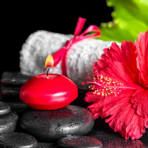 beautiful spa composition of red hibiscus flower with dew, candl