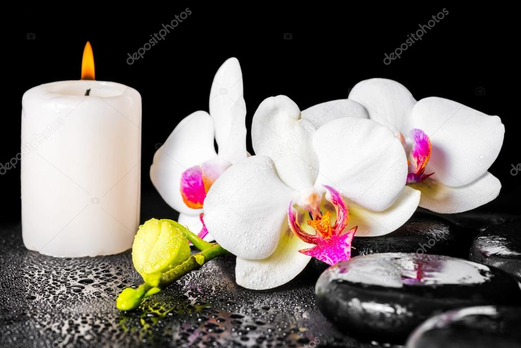 Concept De Spa Beauté De Fleur Dorchidée Fleurs Blanche Et