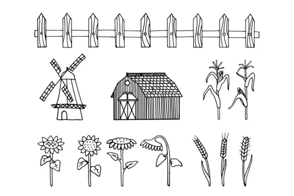 Набор Фермерской Культурной Темой Векторная Иллюстрация Нарисованными Вручную Элементами Краски — стоковый вектор