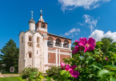 Suzdal, Rusya. Aziz Euthymius 'un Kurtarıcı Manastırı' nın ön plandaki gül ağacı üzerinde çiçekleri olan kamp manzarası..