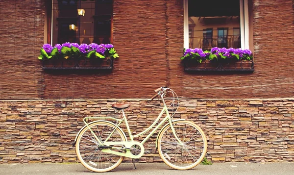 Güzel retro bisikleti yeşil