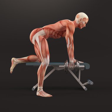 Spor vücut geliştirme egzersiz. Tricep Dumbbell geri tepme. Triceps hayal var. Triceps kas grubu