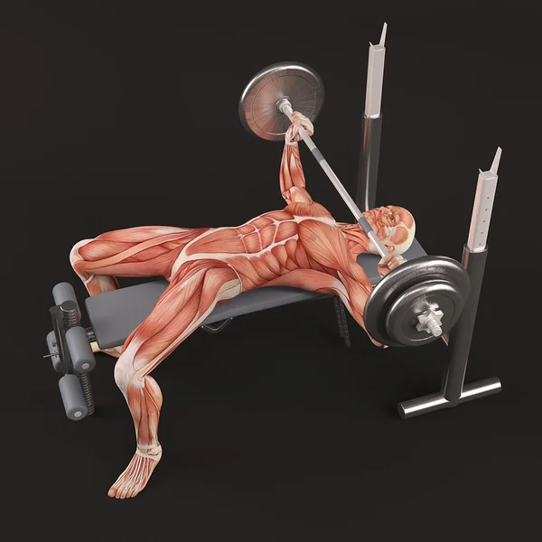 Bodybuilding gym uitoefening. Brede greep barbell bench press. Borst spiergroep — Stockfoto