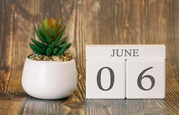Flower Pot Calendar Warm Season June Summer Time — Stock Photo, Image