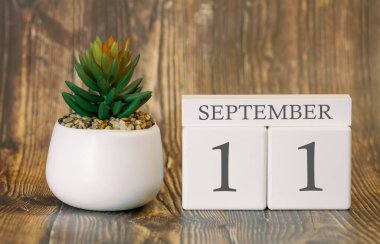 11 Eylül 'den itibaren serin mevsim için çiçek saksısı ve takvim. Sonbahar zamanı.