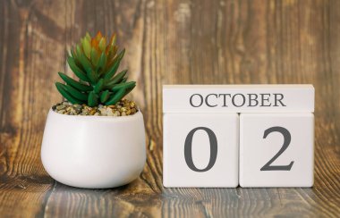 02 Ekim 'den itibaren serin mevsim için çiçek saksısı ve takvim. Sonbahar zamanı.