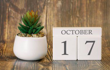 17 Ekim 'den itibaren serin mevsim için çiçek saksısı ve takvim. Sonbahar zamanı.