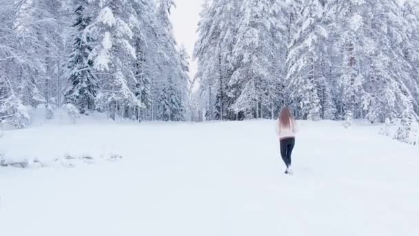 冬の森の中の道 若い女性が雪道を歩いている — ストック動画