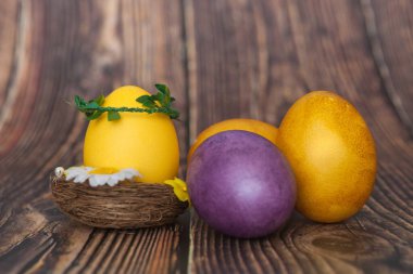 Yuvadaki Paskalya sarısı yumurta. Koyu tahta arkaplan