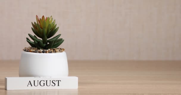 Houten Kalender Met Een Belangrijke Gebeurtenis Voor Augustus Stelt Hand — Stockvideo