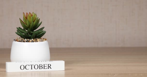Wooden Calendar Important Event October Woman Hand Sets Date Calendar — Stock Video