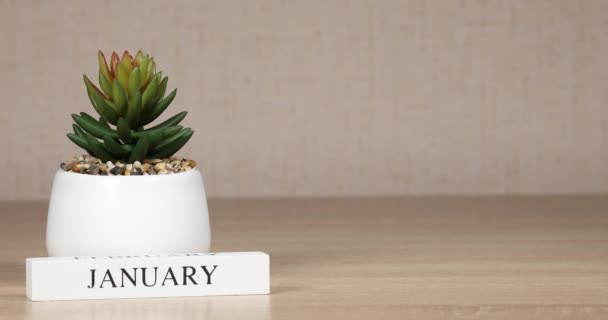 Wooden Calendar Important Event January Woman Hand Sets Date Calendar — Stock Video