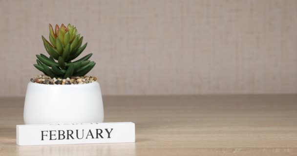 Wooden Calendar Important Event February Woman Hand Sets Date Calendar — Stock Video