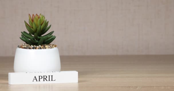 4月5日の重要な行事を持つ木製の暦では 女性の手はカレンダーに日付を設定します — ストック動画