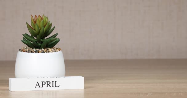 Träkalender Med Viktig Händelse För April Bestämmer Kvinnas Hand Datum — Stockvideo