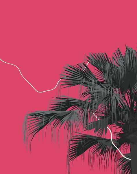 Palma Tropical Palma Abanico Chino Tono Gris Mono Fondo Rosa Ilustración De Stock