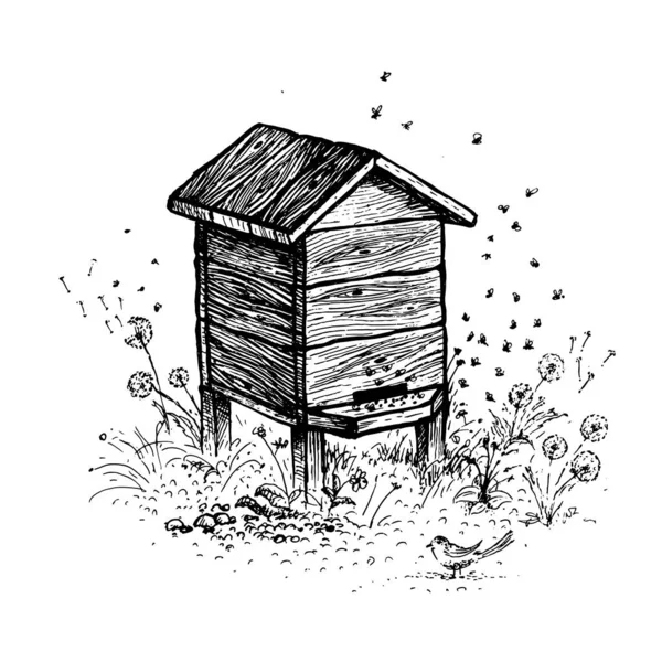 Bee Hive Drawing Collection Farm Products Stock Illustration