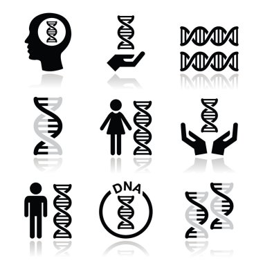 insan DNA'sı, genetik Icons set vektör.