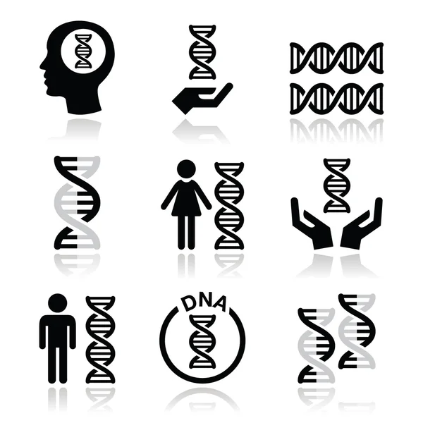 Menselijke dna, de genetica vector icons set — Stockvector