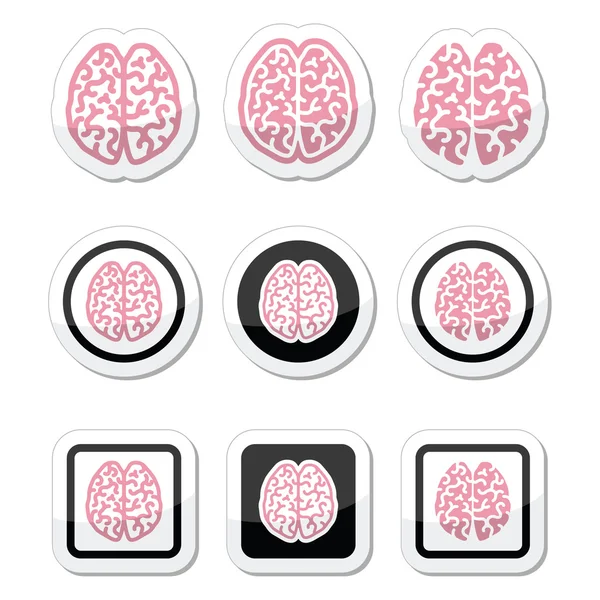 Menselijk brein iconen set - intelligentie, creativiteit concept — Stockvector