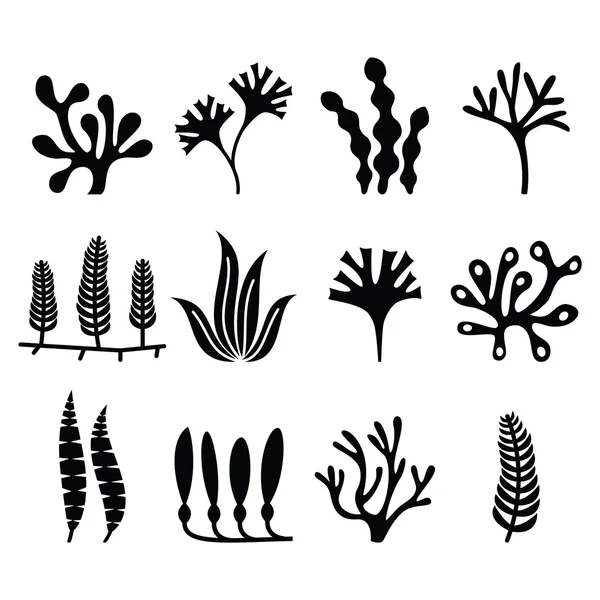 Conjunto de ícones de algas marinhas - natureza, conceito de tendências alimentares —  Vetores de Stock