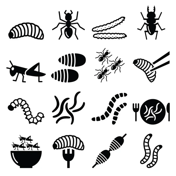 Vermes comestíveis e ícones de insetos - fonte alternativa de proteína — Vetor de Stock