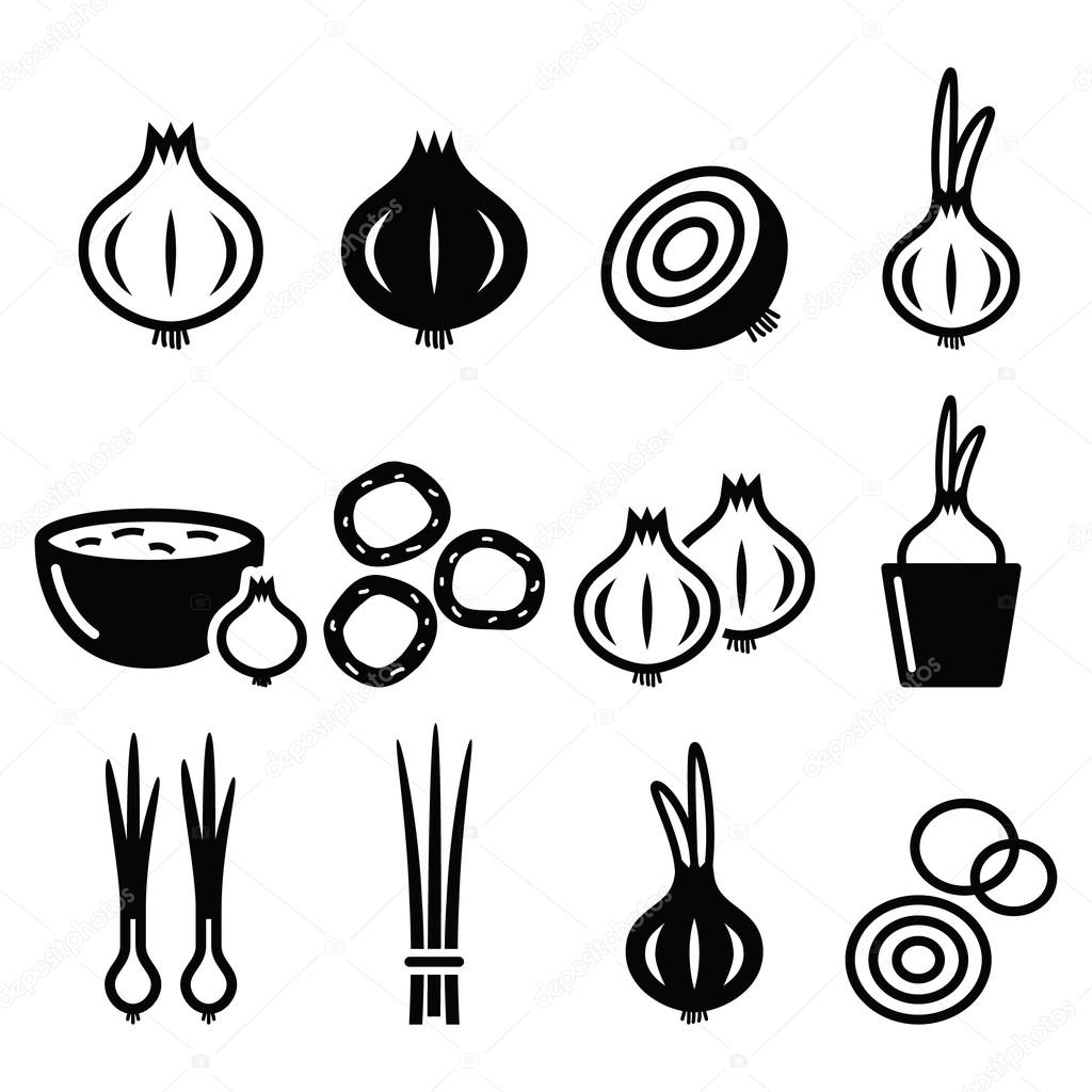 spring onions icons set