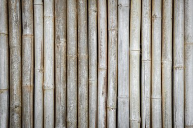 Bambu çit dokusu arka planı. Bambu duvar arkaplanı. Kuru bambu dokusu tam olarak düz duvar zemininin ışığı. Eko doğal arka plan kavramı