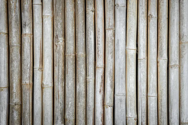 Bambu Çit Dokusu Arka Planı Bambu Duvar Arkaplanı Kuru Bambu — Stok fotoğraf