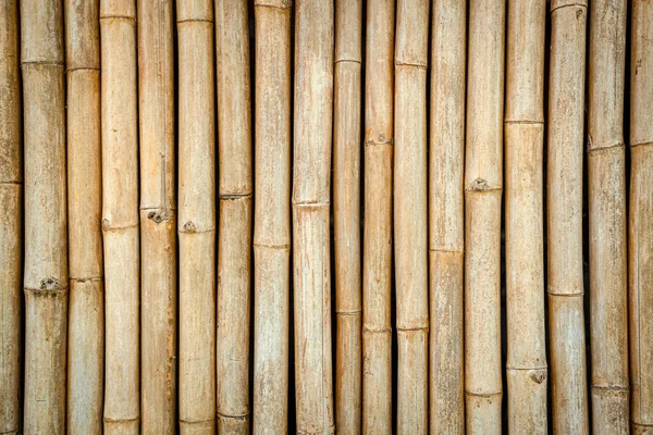 Bamboo Fence Texture Background Bamboo Wall Background Dry Bamboo Texture — Stock Photo, Image