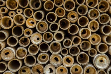 Bambu çit dokusu arka planı. Bambu duvar arkaplanı. Kuru bambu dokusu tam olarak düz duvar zemininin ışığı. Eko doğal arka plan kavramı