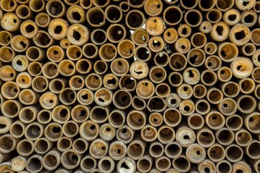 Bambu çit dokusu arka planı. Bambu duvar arkaplanı. Kuru bambu dokusu tam olarak düz duvar zemininin ışığı. Eko doğal arka plan kavramı