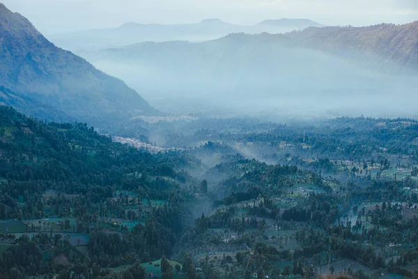 Mountain forest landscape. Misty foggy mountain landscape with fir forest