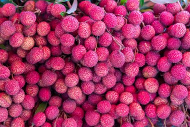 Taze litchi meyvesi. Yerel tarım çiftliğinden organik liçi yığını. Lychee yığını, taze liçi ve kabuğu kırmızı deriyi gösteriyor.