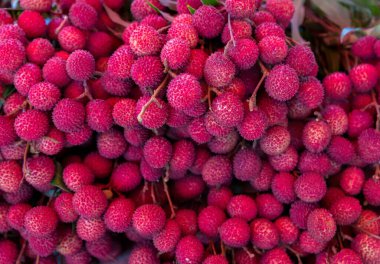 Taze litchi meyvesi. Yerel tarım çiftliğinden organik liçi yığını. Lychee yığını, taze liçi ve kabuğu kırmızı deriyi gösteriyor.