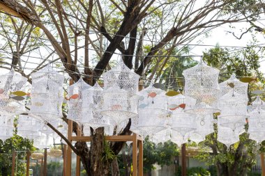 Ağaçta asılı duran dekoratif iplik lambaları. Bahçe Işığı. Arka bahçedeki bir hatta asılı halat lambaları..