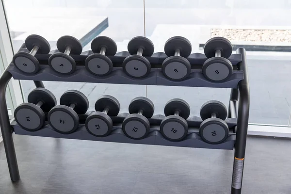 Conjunto Halteres Muitos Halteres Metal Rack Centro Fitness Esportivo Conceito — Fotografia de Stock