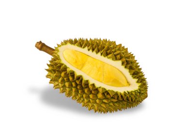 Durian, Tayland 'da bir meyve kralıdır. Meyvelerin kralı Durian. Beyaz arka planda sarı renk var. Tatlı tatlı ya da Tayland 'da atıştırmalık için olgun durian tropikal meyve yazı.