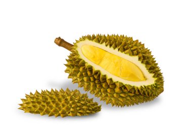 Durian, Tayland 'da bir meyve kralıdır. Meyvelerin kralı Durian. Beyaz arka planda sarı renk var. Tatlı tatlı ya da Tayland 'da atıştırmalık için olgun durian tropikal meyve yazı.