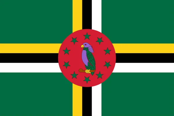 Národní Dominika Vlajka Oficiální Barvy Proporce Správně Národní Dominikánská Vlajka — Stockový vektor