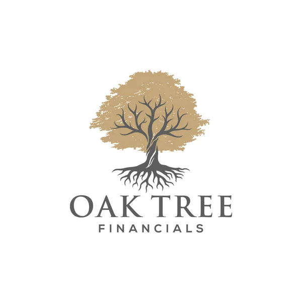 자연의 Oak Tree Emblem 디자인 빈티지 — 스톡 벡터