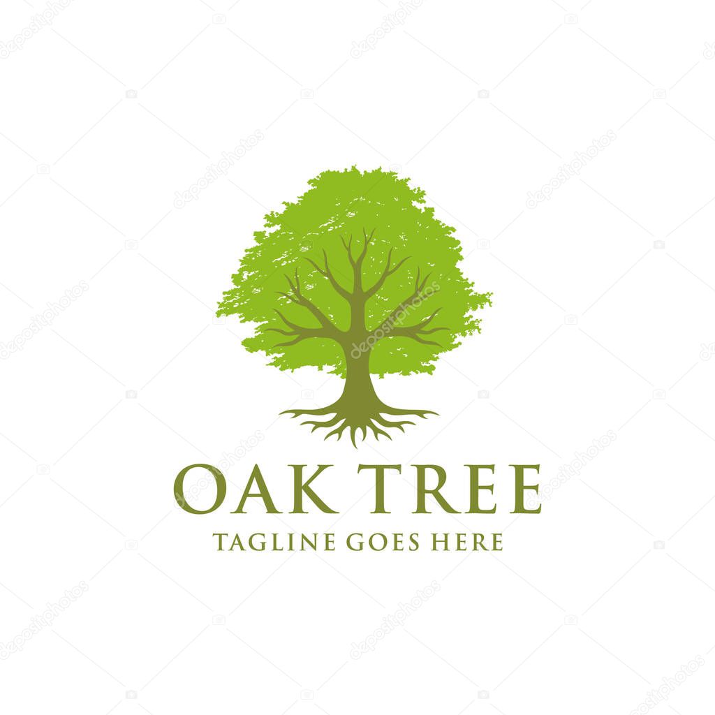 Illustration of nature Oak Tree  Emblem logo design vintage 