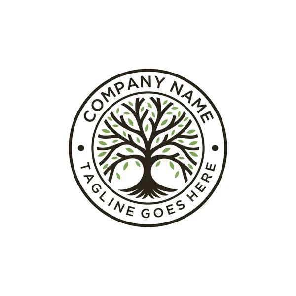 Εικονογράφηση Της Φύσης Oak Tree Emblem Λογότυπο Σχεδιασμό Vintage — Διανυσματικό Αρχείο