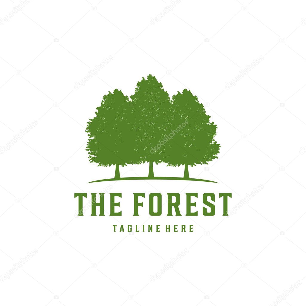 Illustration Rustic Retro Vintage Evergreen, Pines, Spruce, Cedar trees logo design