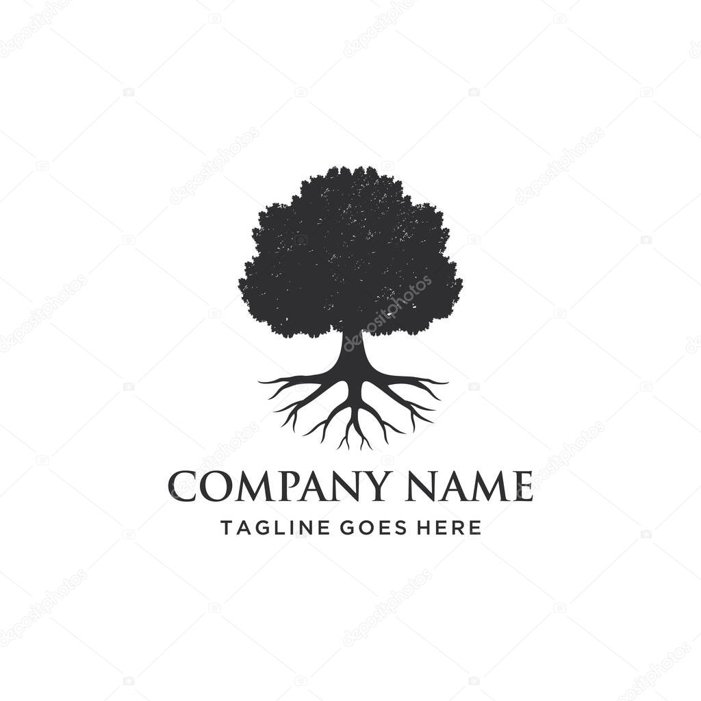 Illustration nature Tree Oak old logo design vintage vector silhouette