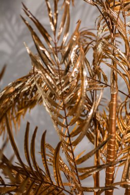 Siyah bir arkaplanda altın bir palmiye ağacının arkaplan resmi. 2021 yılının rengi. 2021 'de palmiye yaprakları sarı ve gri renklerde.