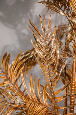 Siyah bir arkaplanda altın bir palmiye ağacının arkaplan resmi. 2021 yılının rengi. 2021 'de palmiye yaprakları sarı ve gri renklerde.